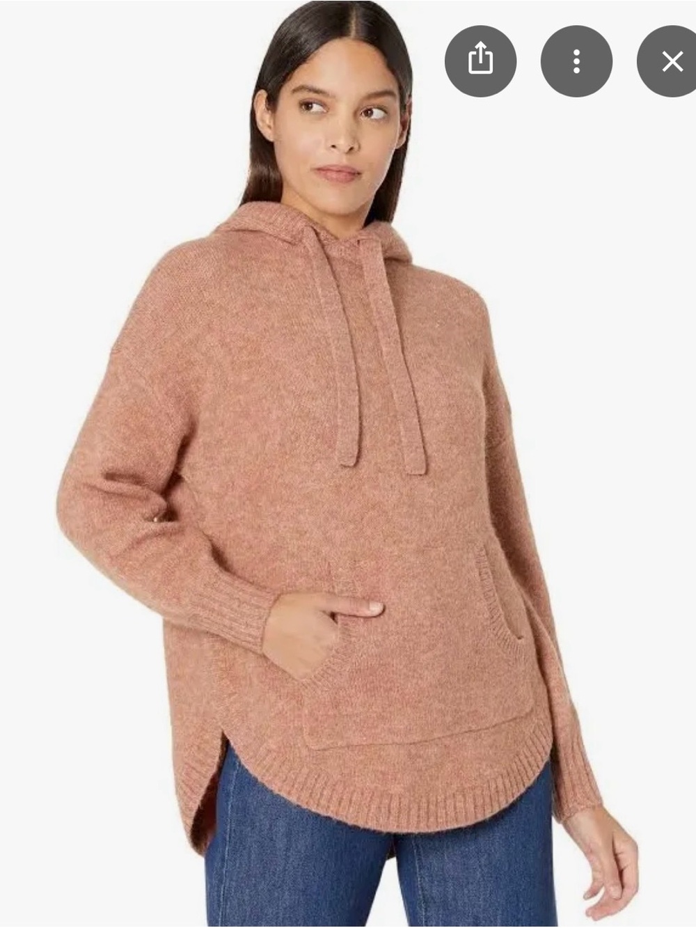 Madewell Wilmington Hoodie Sweater